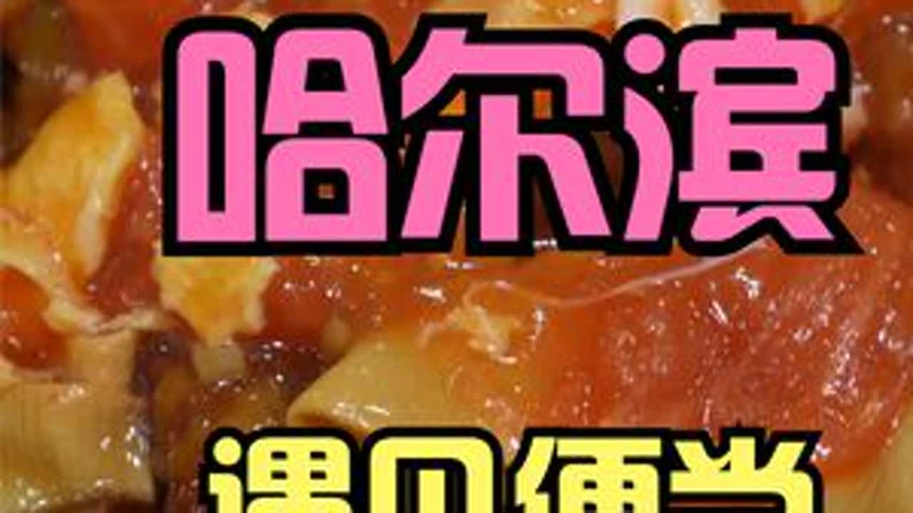 16元吃哈尔滨最好吃的盒饭！！！ #盒饭 #东北 #抖音美食推荐官#美食趣胃计划 #米饭依旧是一小碗