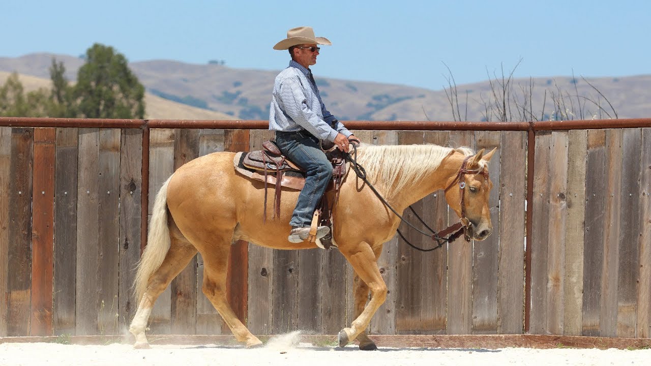 Interrupting a Spook by Redirecting Attention