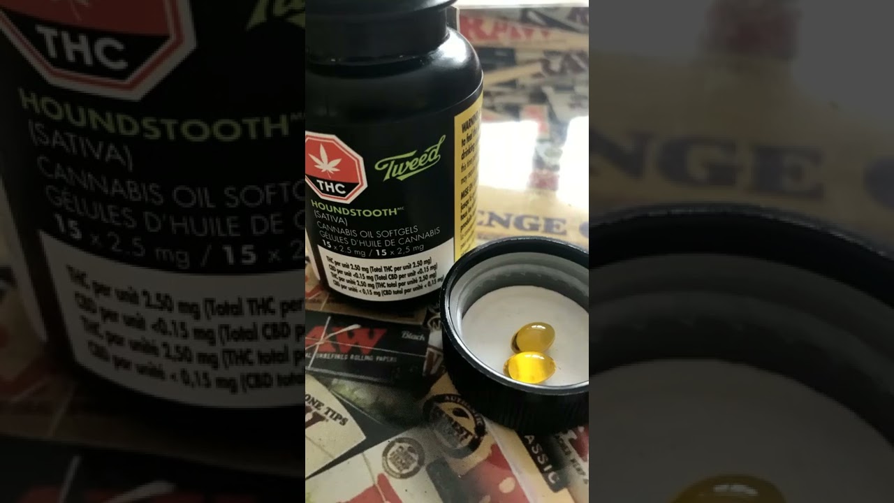 Rx Tweed Cannabis Oil Softgels THC 2.5mg PO BID PRN* *not a doctor #shorts 🇨🇦