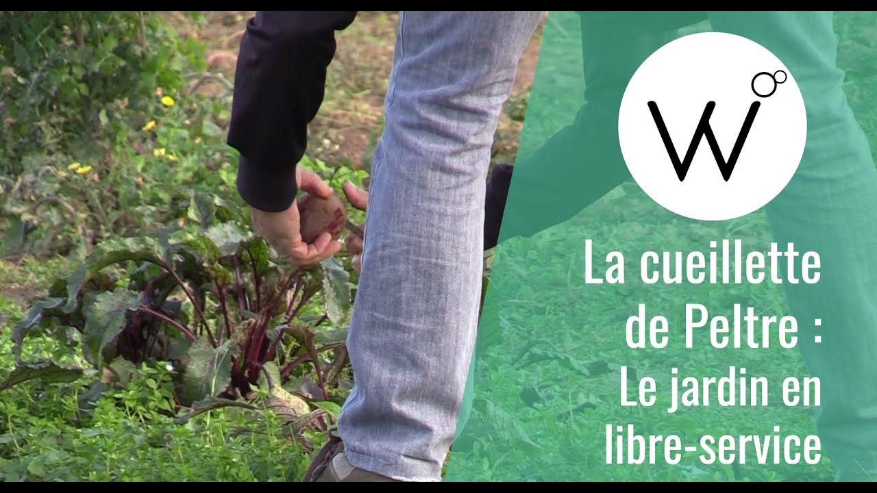 Cueillette de Peltre - Le jardin en libre-service