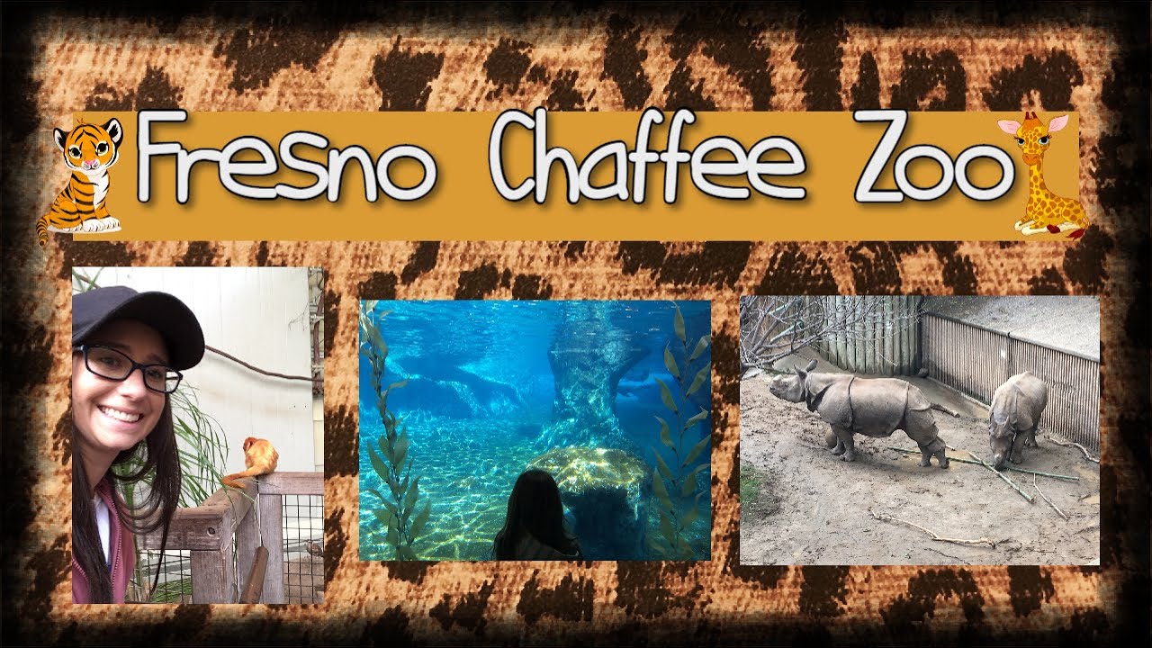 Fresno Chaffee Zoo Walk through