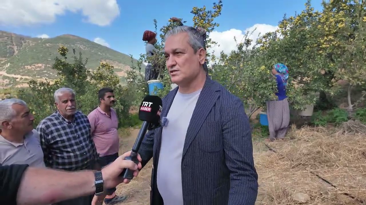 Belen’de Alıç Meyvesinin İlk Hasadı Gerçekleşti.