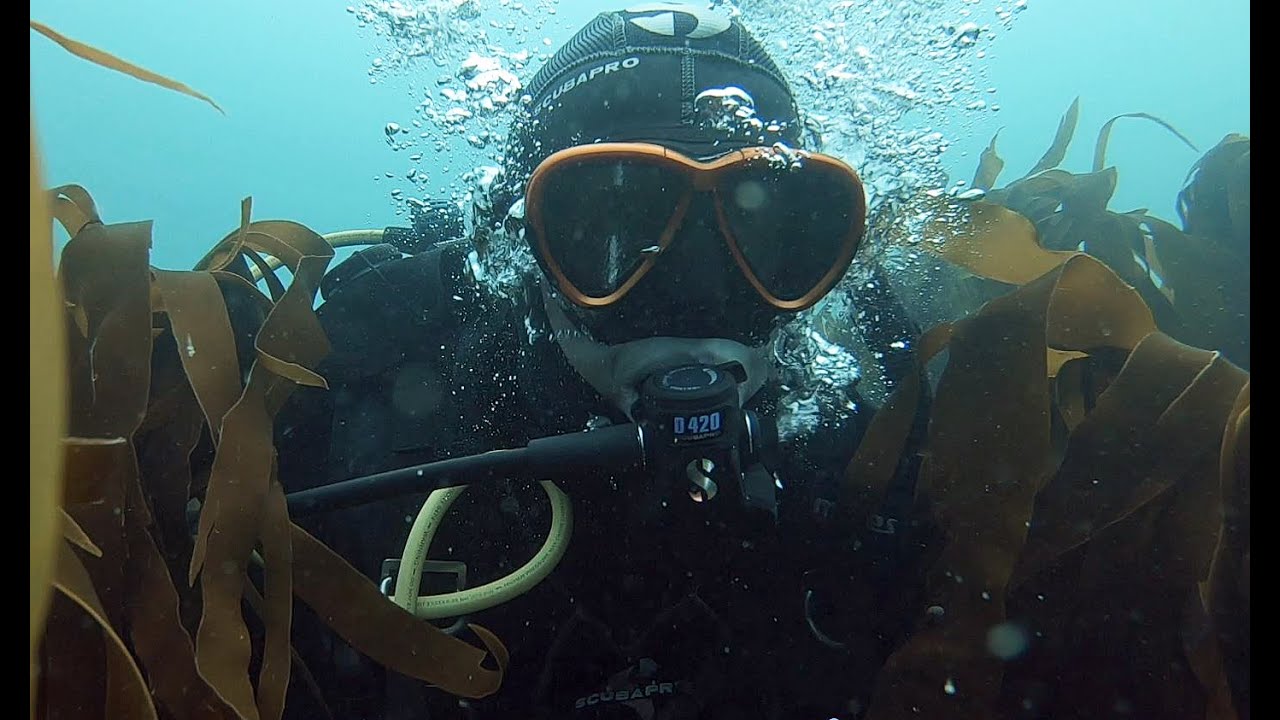 Scuba Diving Gear Review: MK19 Evo/D420/R195 Octo Dive Regulator System from Scubapro