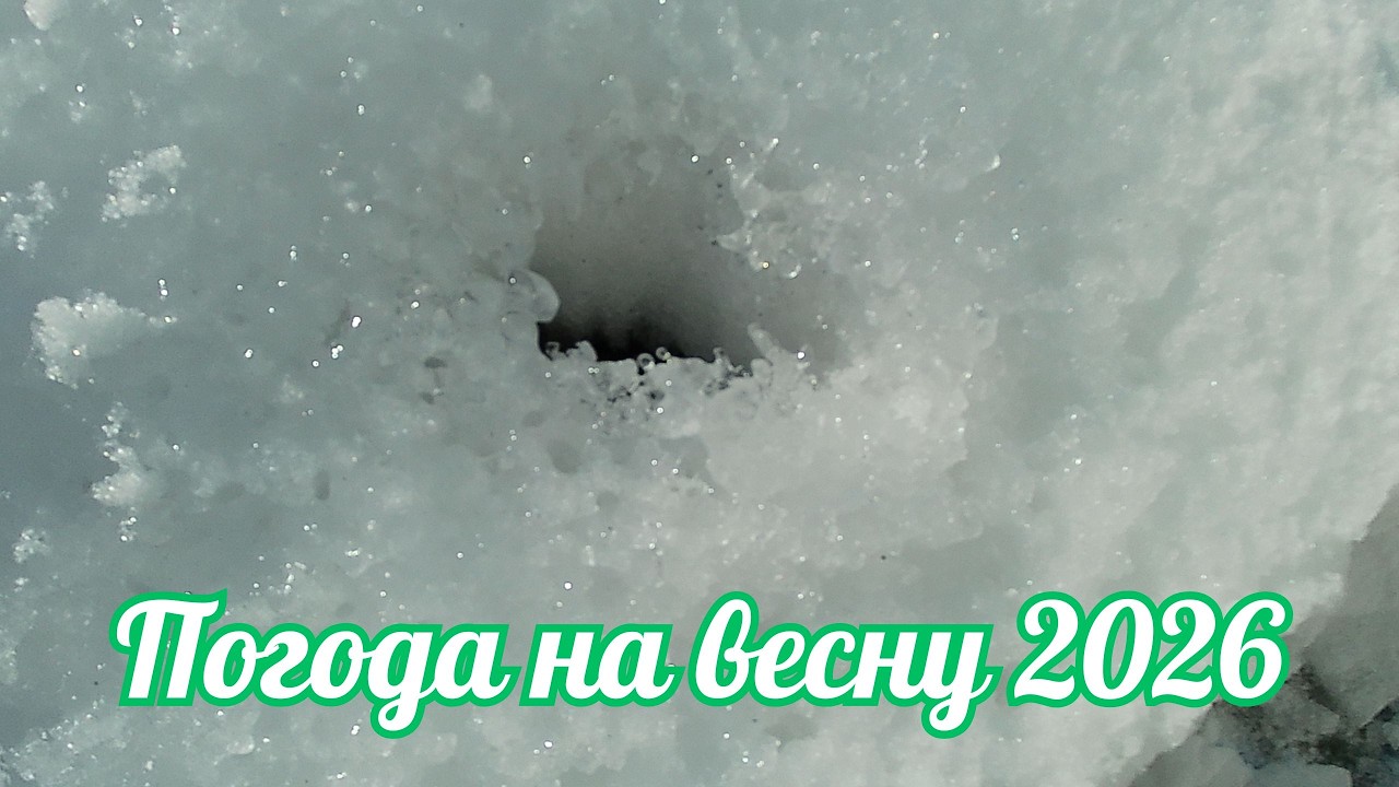 Чого чекати городнику від погоди навесні 2026