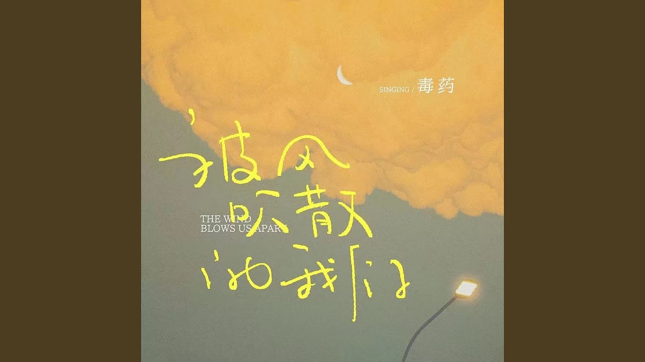 被风吹散的我们