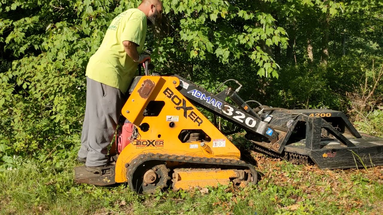 Boxer 320 Brush Cutter Brush Wolf 4200 Clearing saplings