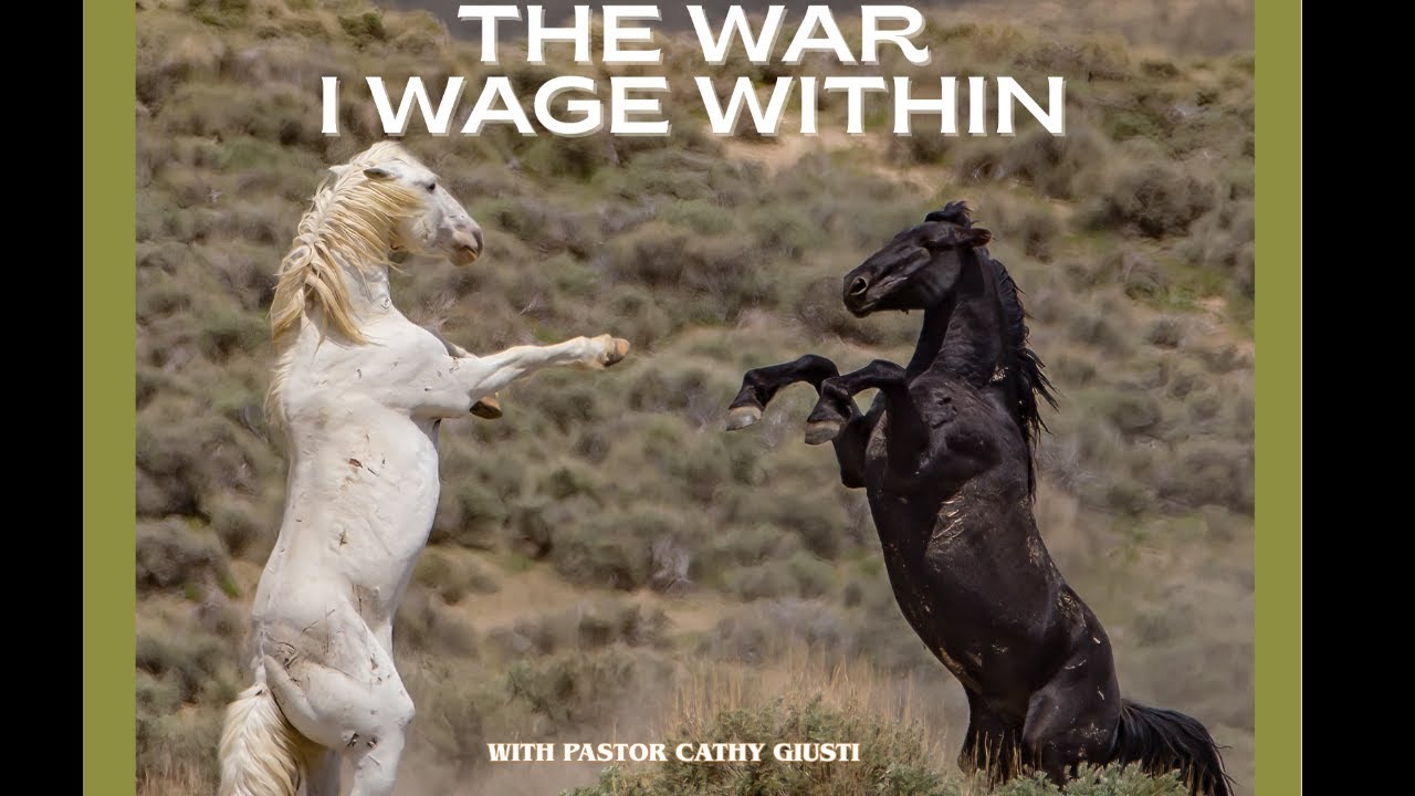 The War I Wage Within - Pastor Cathy Giusti