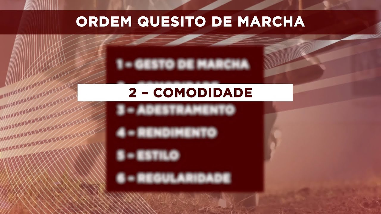 QUESITOS DA MARCHA - COMODIDADE