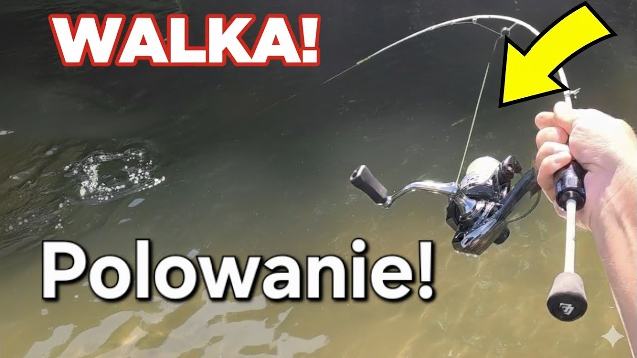 Prawdziwa Perełka! Wymarzona Ryba! Długo na nią czekałem! Wędkarstwo Spinningowe z belly boat brzegu