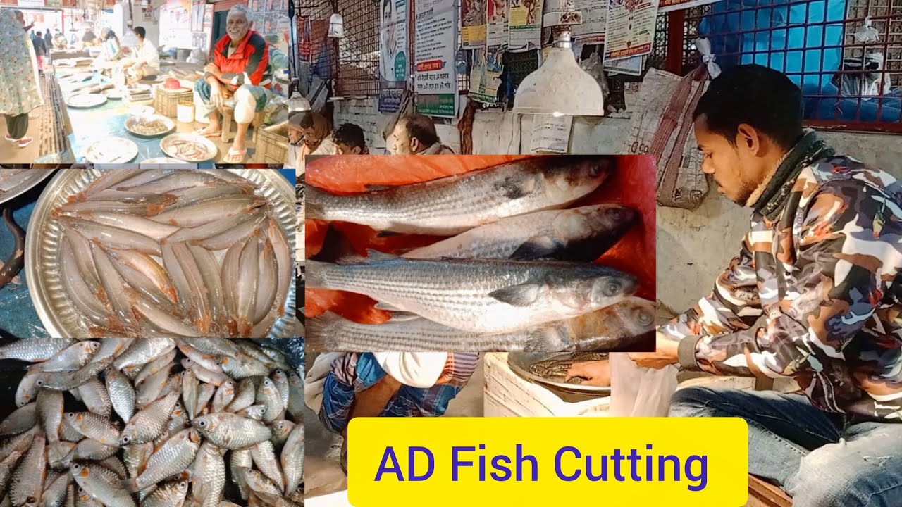 উল্লাপাড়া মাছ মার্কেট #AD Fish Cutting #youtube #fish #fishcutting #video 