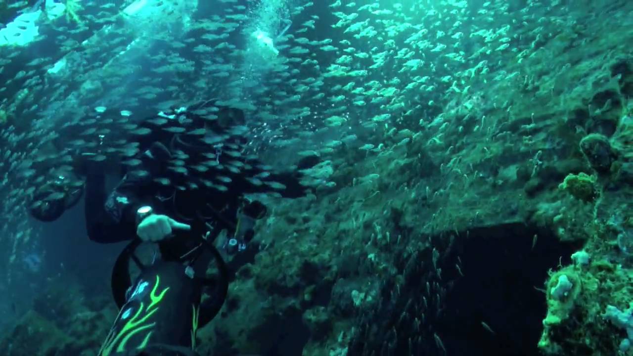 RED SEA 2010