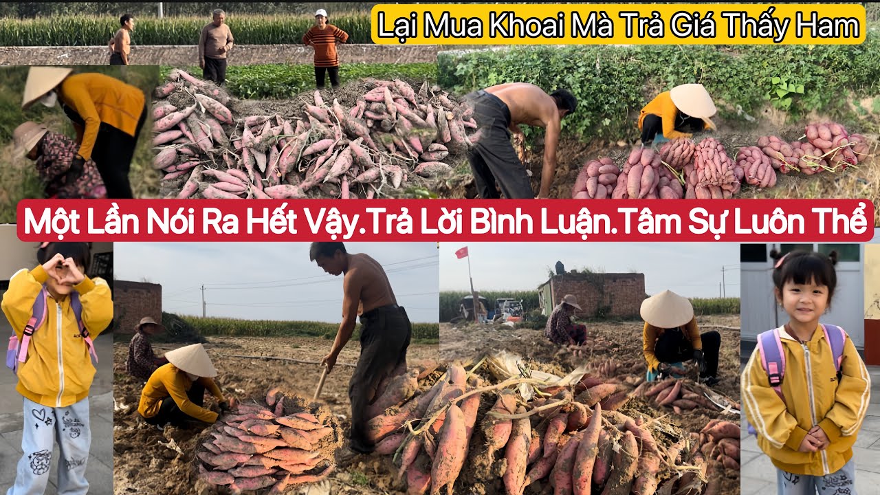 #672]Tại Sao Tới Giờ Không Nghe Ông Nội Hỏi Về Chân Wei Sen Hết Chưa?Làm Không Bao Nhiêu Mà Đòi Tiền