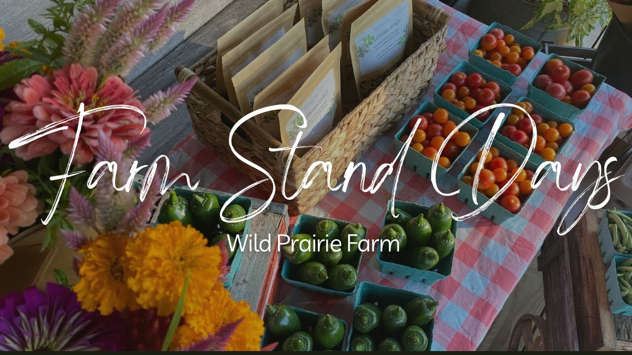 Farm Stand Prep and Set Up // Flower Harvest // Bouquet Making // Wild Prairie Farm
