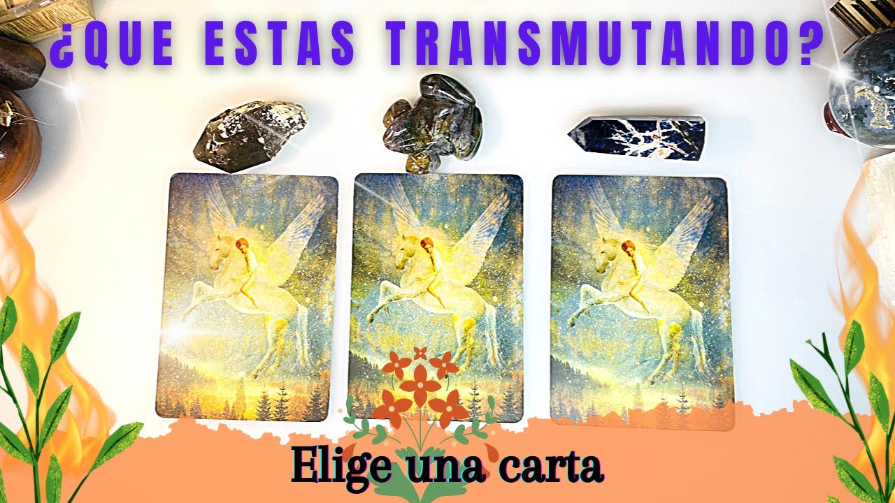 ¿Que se esta transformando / transmutando en tu vida?  🌻 🔥🌱  Tarot interactivo - Elige una Carta