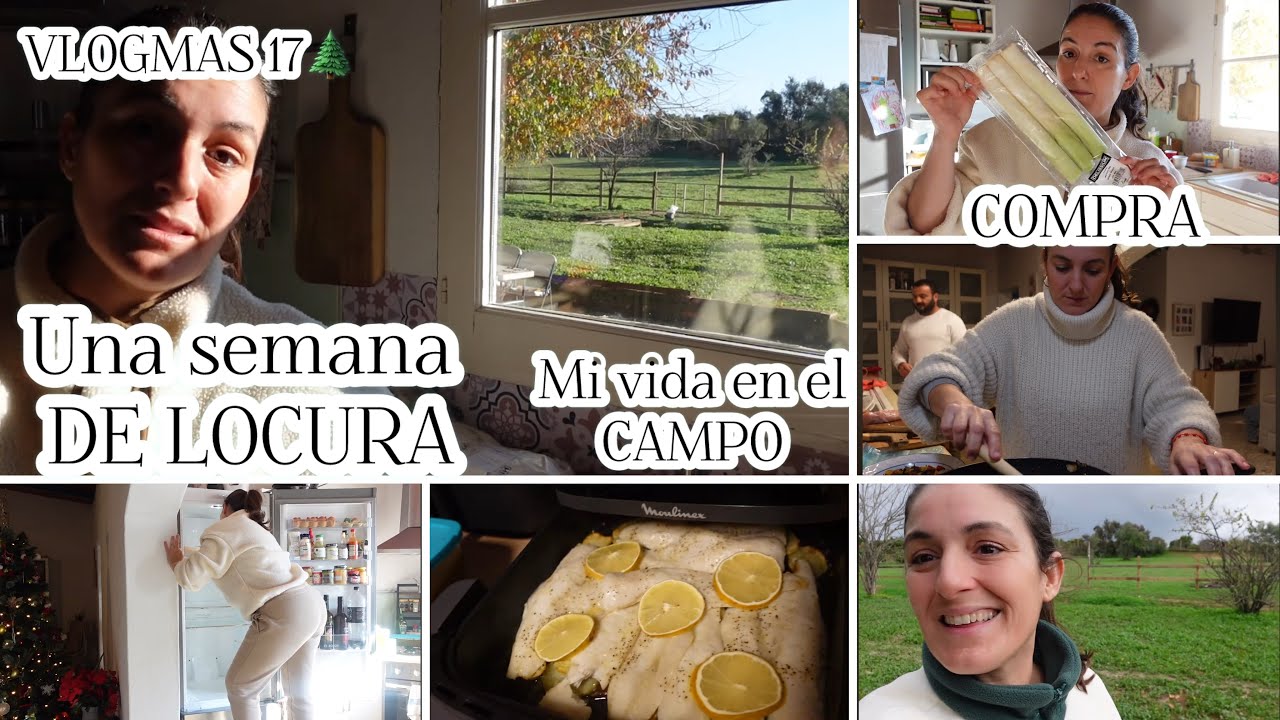 VLOGMAS 17🌲 Una semana ESTRESANTE!/Fin de Curso/COMPRA CashFresh/COMIDAS/LIMPIEZA FRIGO