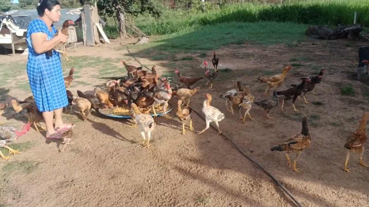 27 de fevereiro de 2026