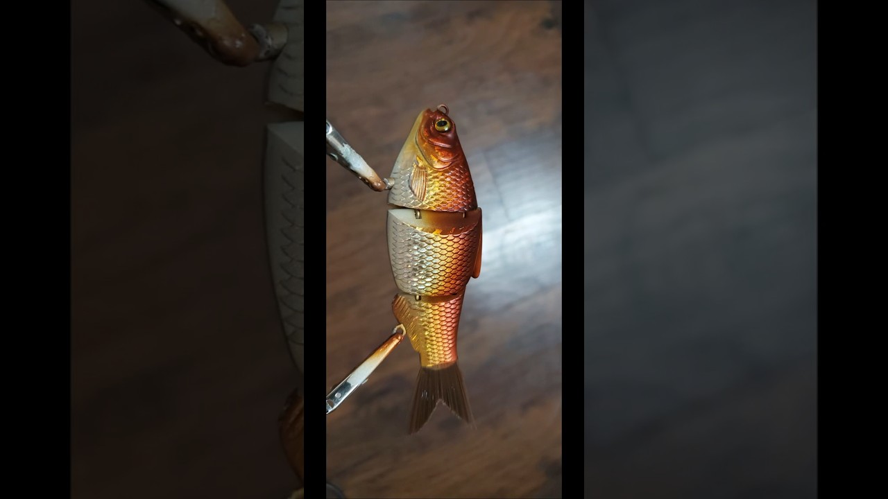 Goldfish Swimbait Airbrushed with Createx Candy Dye & Detail Sepia 