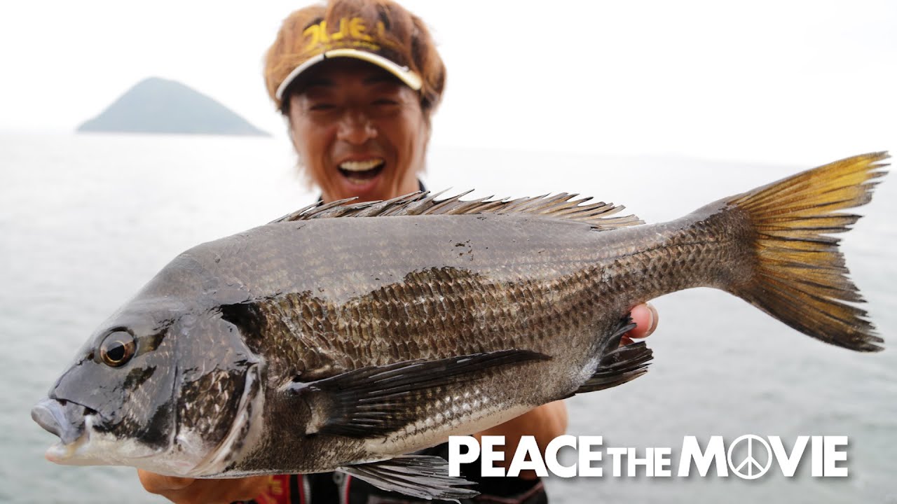 PEACE THE MOVIE #83「秋の海でチヌ狙い!のはずが・・・!?」中国地方・山口県周防大島の旅（後編）/平和卓也(992)