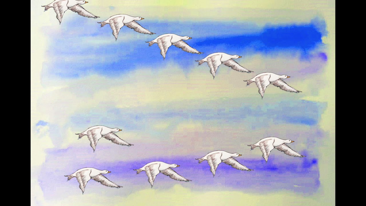 El vuelo de los gansos