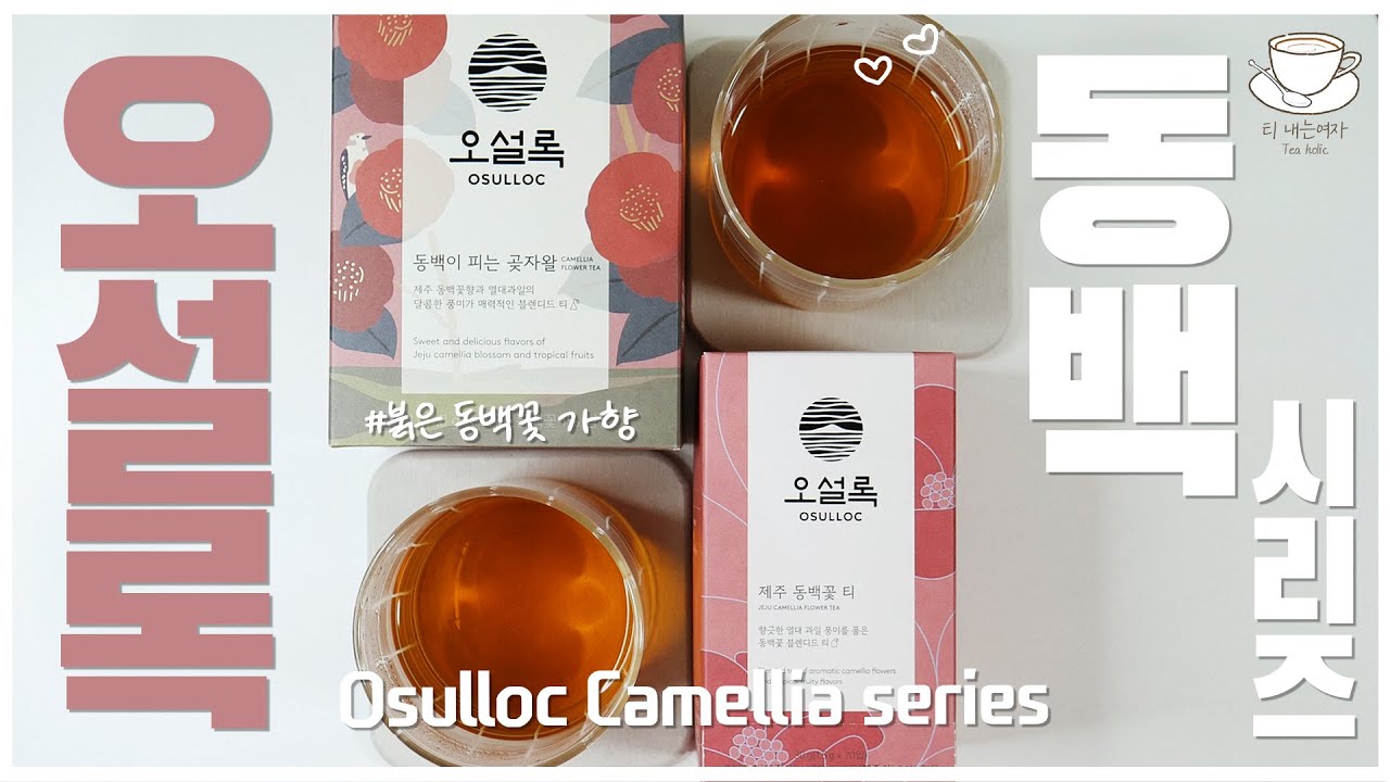 #65 오설록 동백 시리즈 l Osulloc Camellia Series