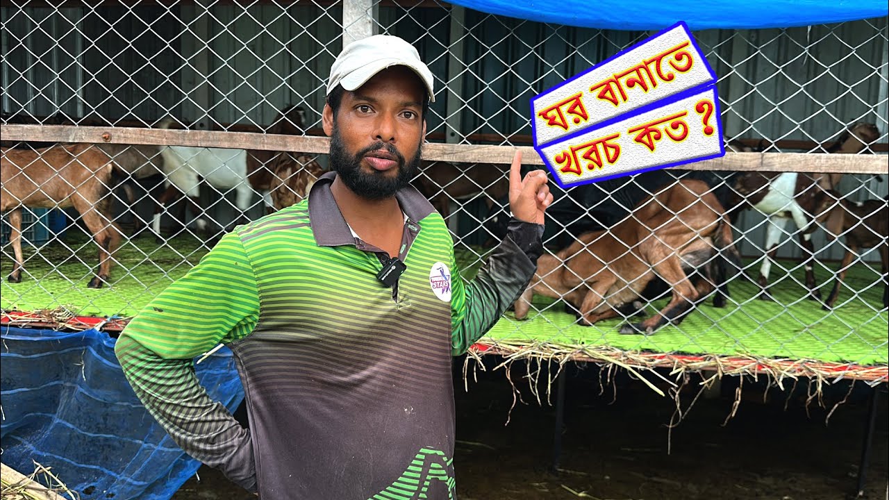 কত টাকায় ছাগলের জন্য আধুনিক ঘর বানানো যায়?