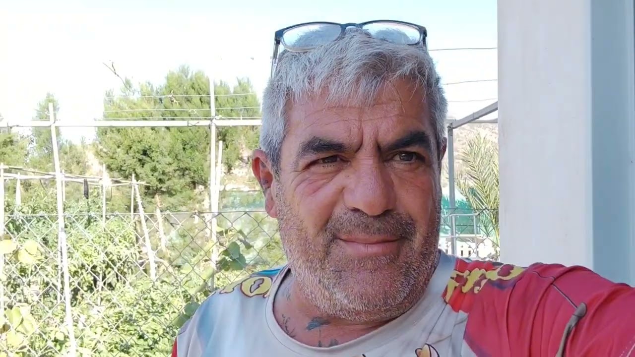 La poda de las judías verdes. Como, cuando y porque hacerla.