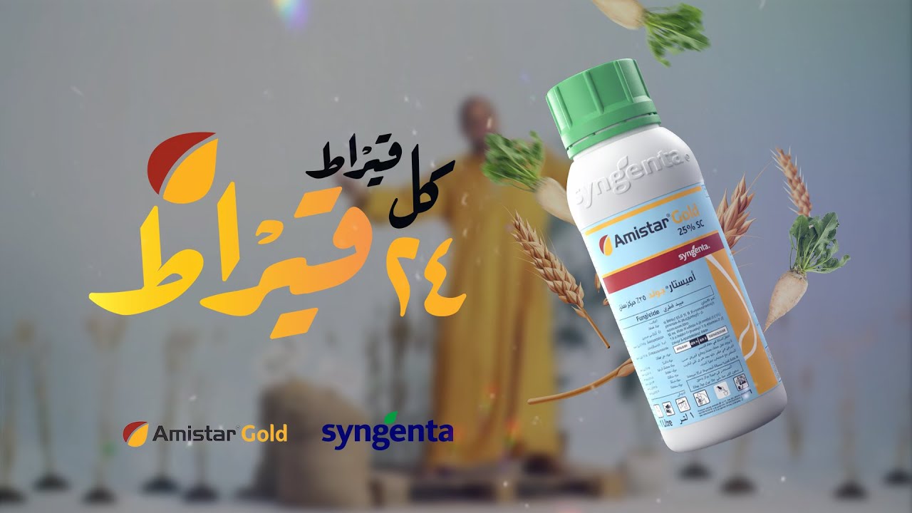 أميستار جولد من سينجنتا | كل قيراط ٢٤ قيراط