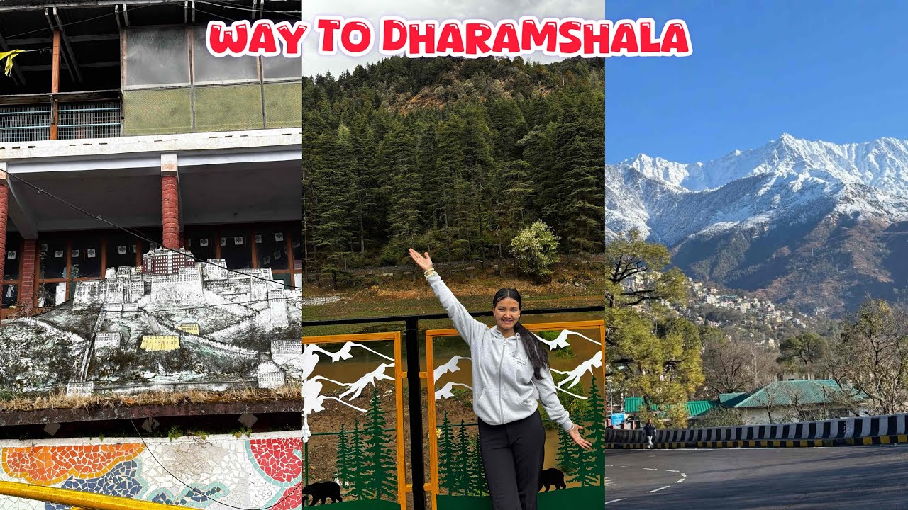 Shimla To Dharamshala 🤩 | Travel Vlog | Dharamshala Ponch Gyi Main Finally 🏔️ #dharamshala #vlog 