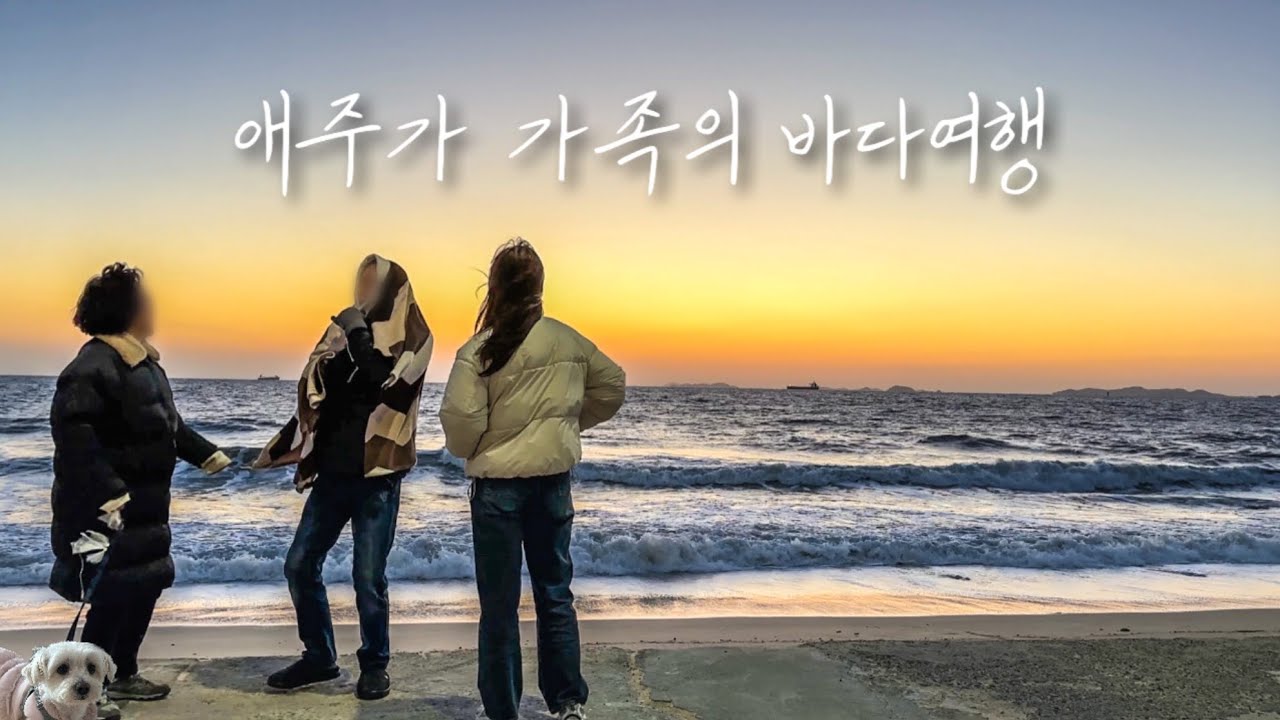 강풍주의보에도 끄떡없는 긍정킹들의 낮술 여행🌊 친구같은 60대 부모님과 가족여행 브이로그 | 대천 애견동반 여행