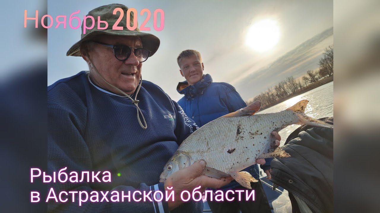 Отлично отловились по мирной рыбе. Ноябрь 2020.