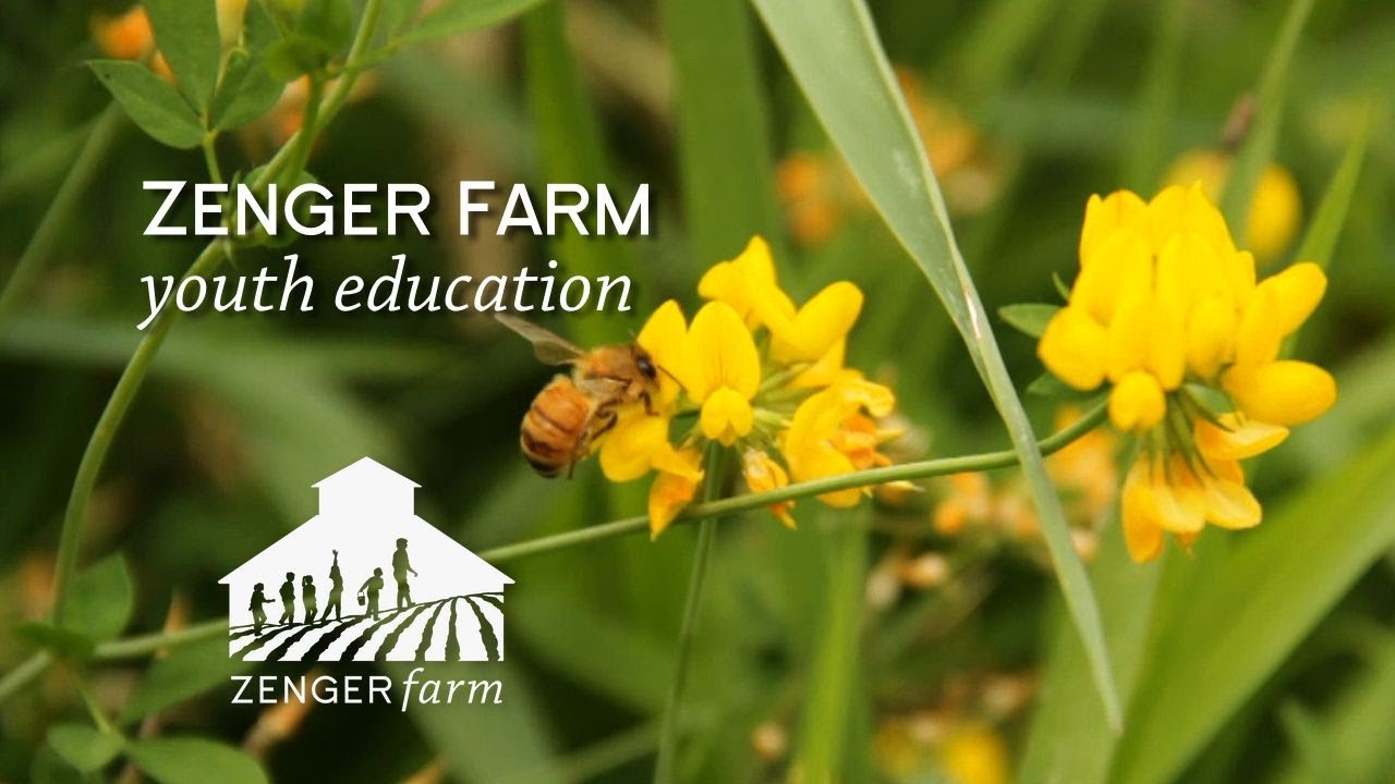 Zenger Farm: Youth Education