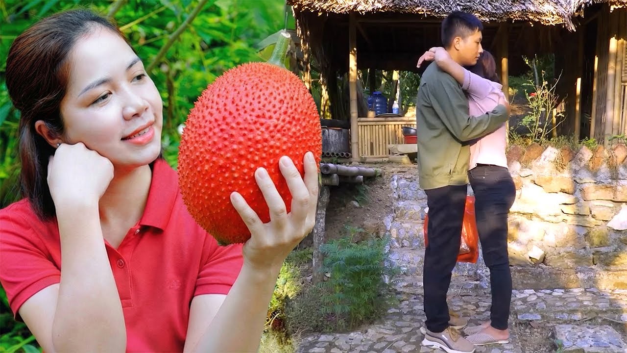 Harvesting Red Thorny Fruits Go To Market Sell - Husband Gives A Surprise Gift on A Special Day