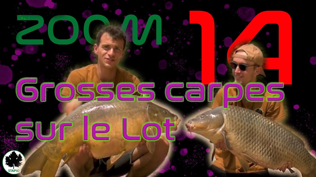 Ep 14: Grosses carpes sur le Lot