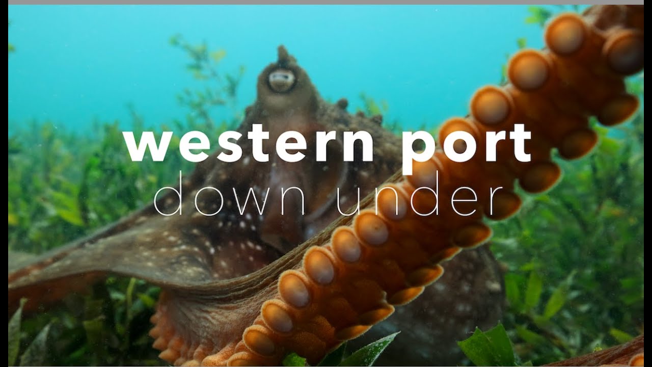 Western Port Down Under