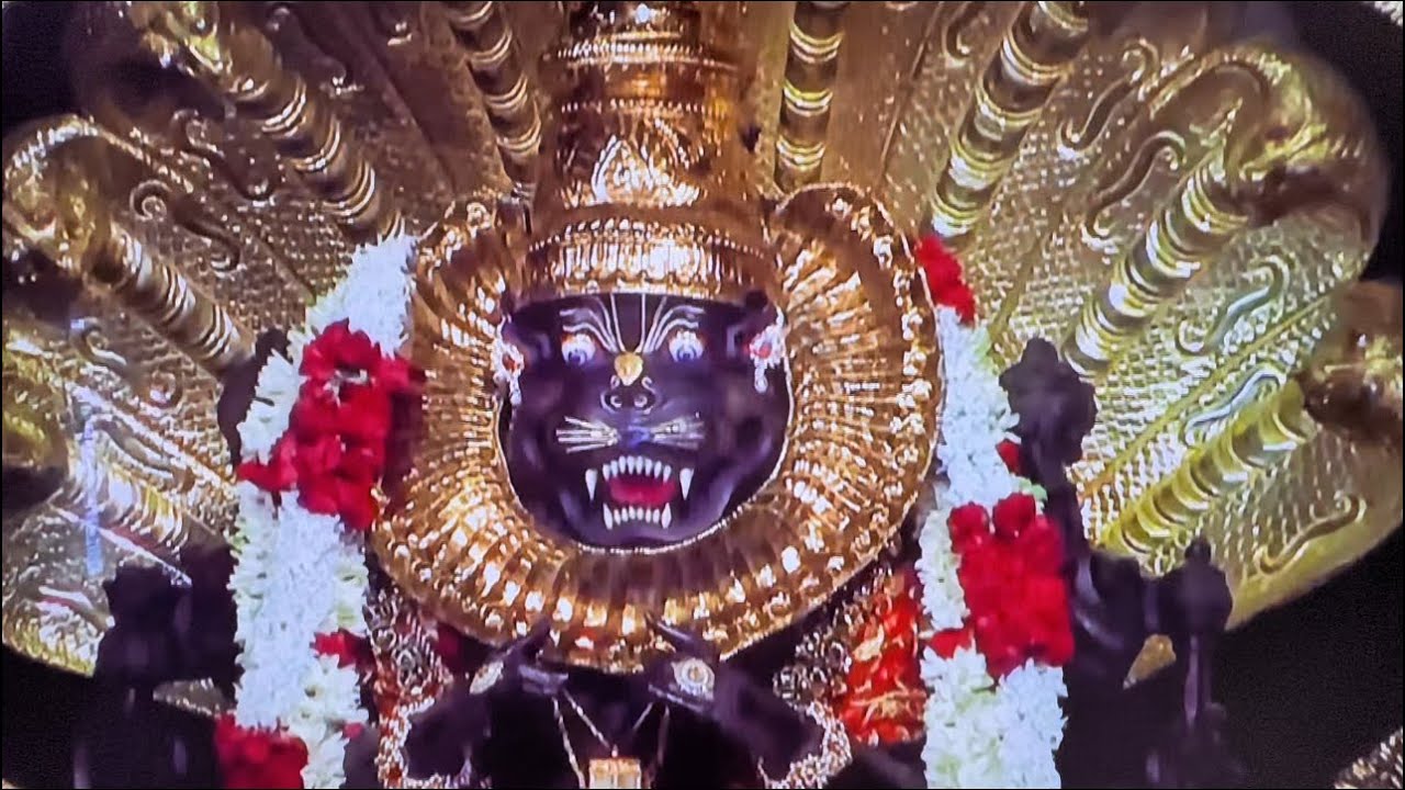 Mayapur.TV: ￼￼|| Adhivas Ceremony of Narasimha Chaturdashi 2026 | Sri Dham Mayapur |