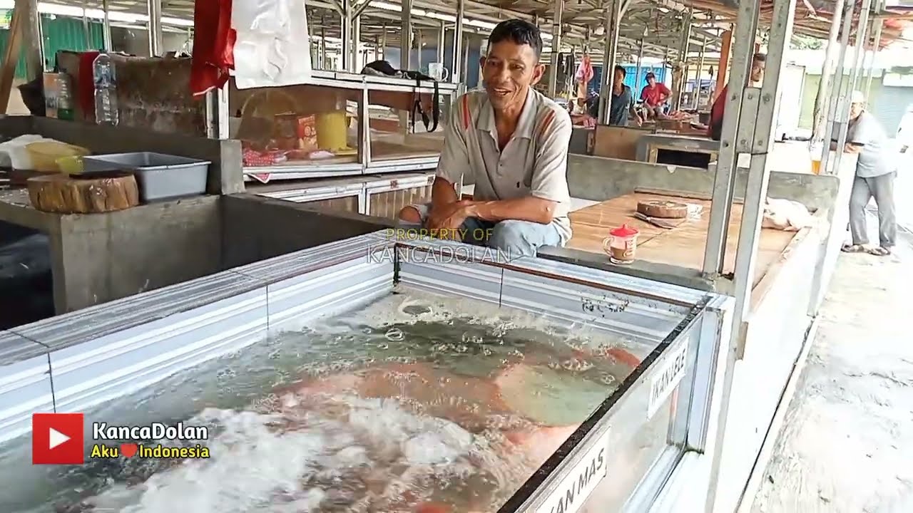 Lapak Ikan Segar di Pasar Sipon Cipondoh Kota Tangerang | Fresh Fish Market