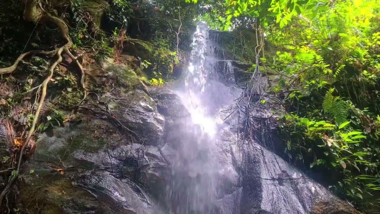 Peaceful Hidden Waterfall in the Forest | Nature Ambience