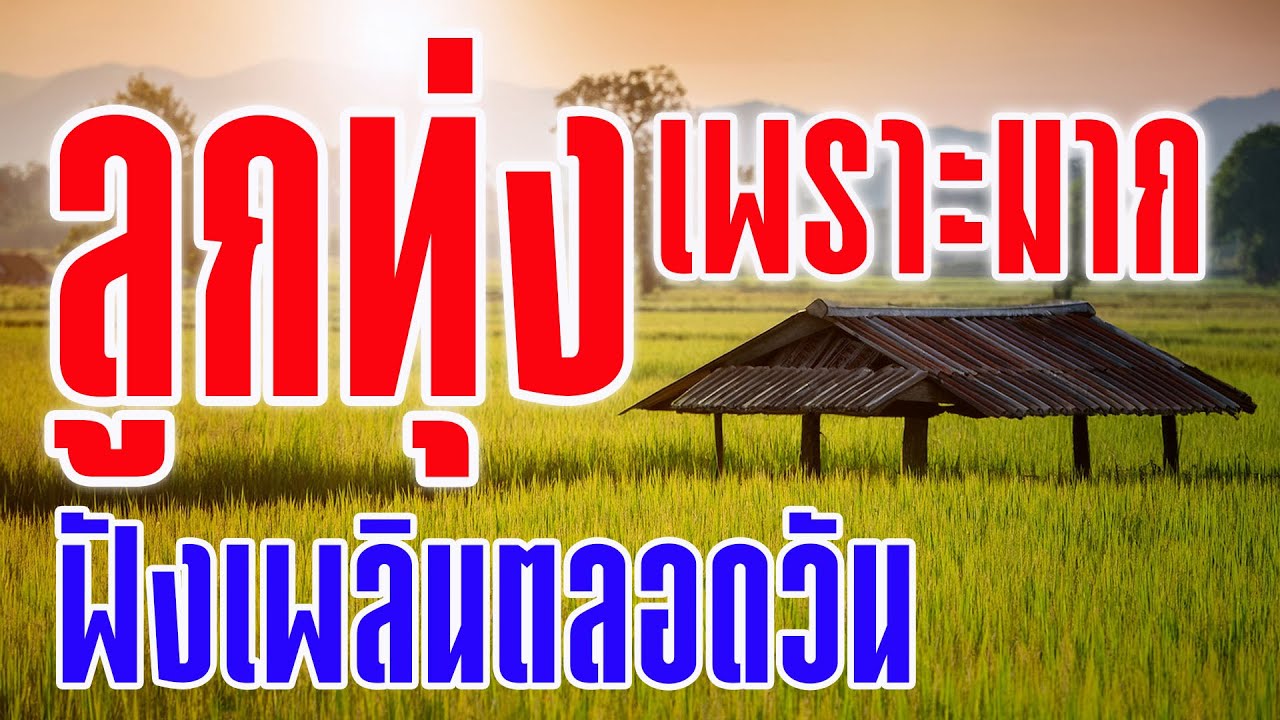 ลูกทุ่งเพราะมาก ฟังเพลินตลอดวัน