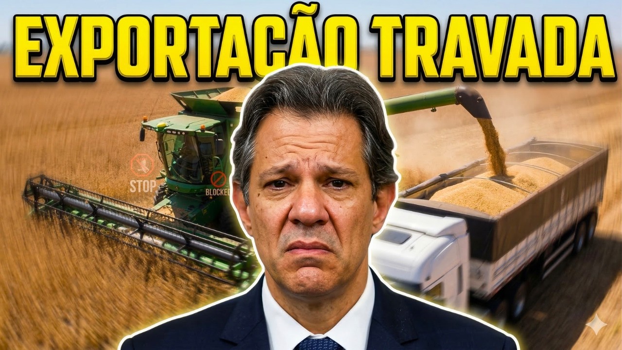O Novo Problema da Soja Brasileira Que o Mercado Não Esperava!