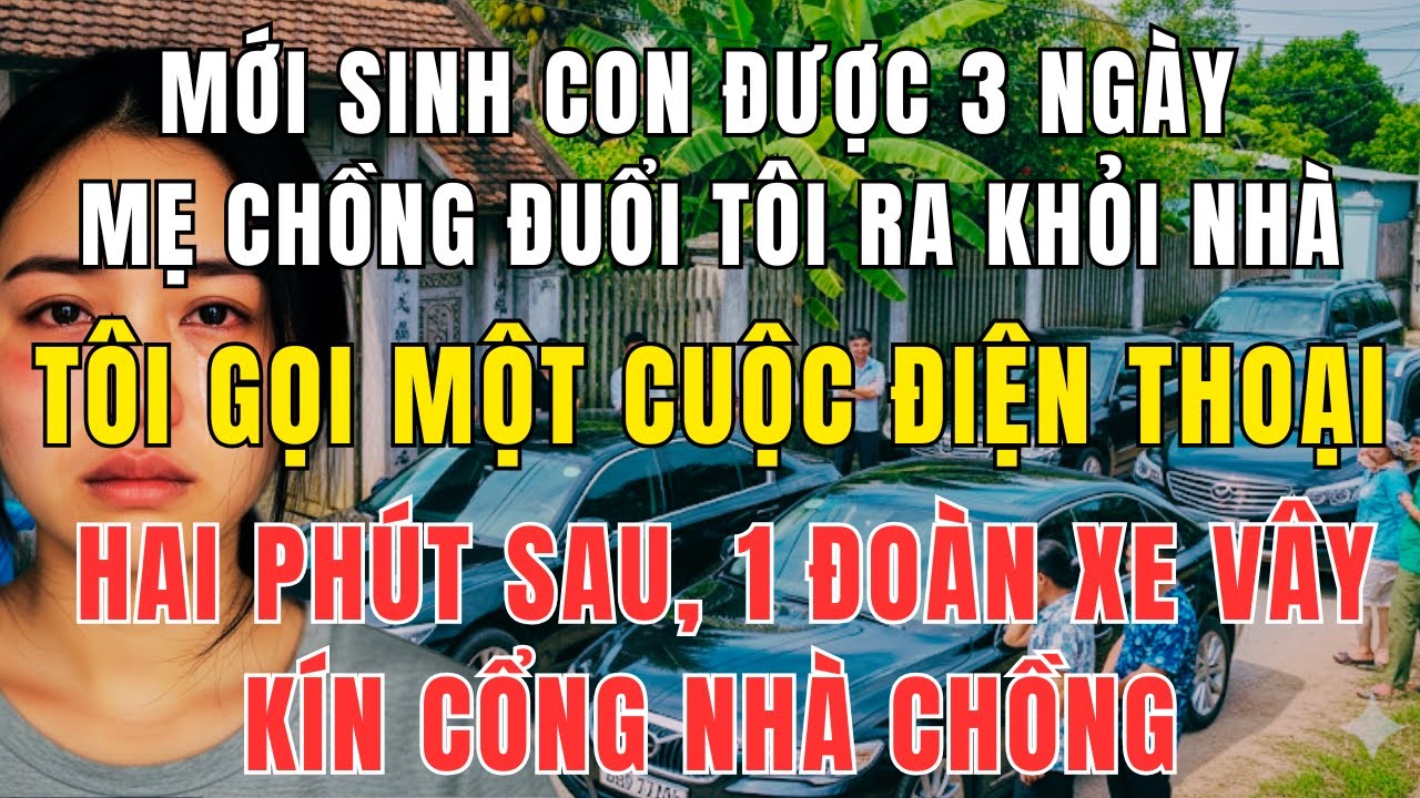 Mới Sinh Con 3 Ngày, Tôi Bị Mẹ Chồng Đuổi Khỏi Nhà – Một Cuộc Gọi Khiến Cả Nhà Bà Đứng Hình