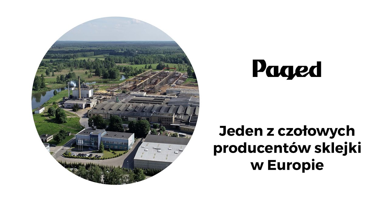 Paged - jeden z czołowych producentów sklejki w Europie