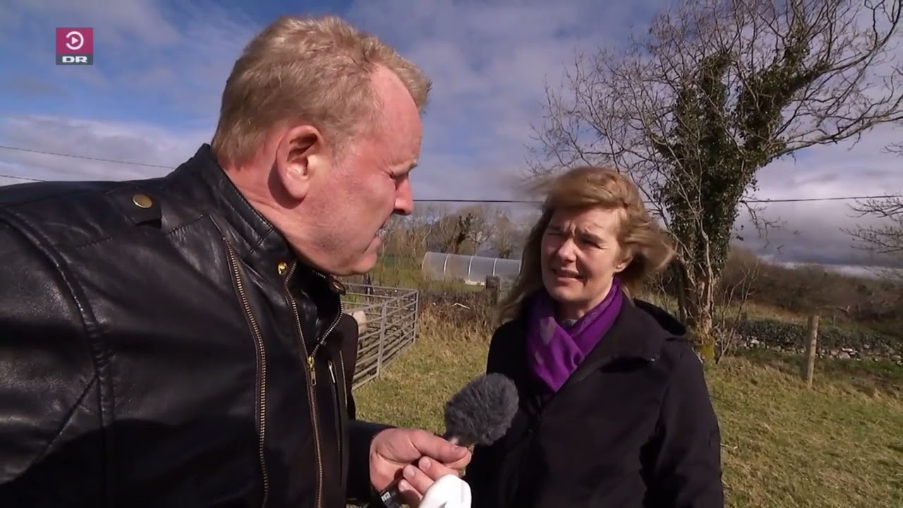 Gintberg på kanten 🌍 ⎮ S7⎮ Irland ⎮ Fårehyrde i Irland 🇮🇪