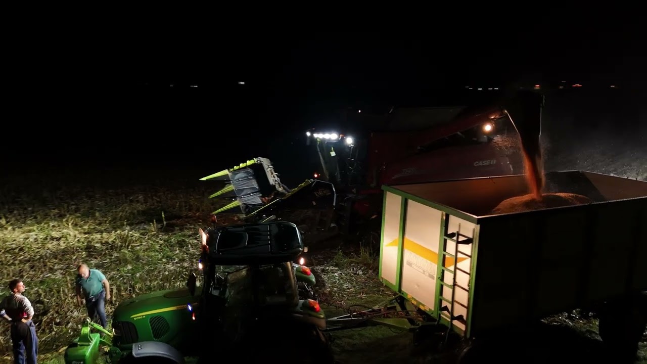 [SILAGE] CASEIH Axialflow 7250 del TEAM Agriservizi SRL