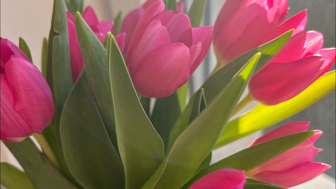 Весенний яркий праздничный день 💐😍
