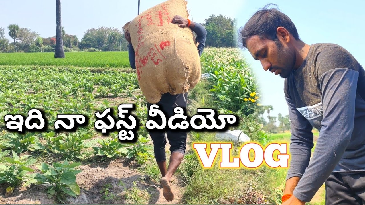 ఇది నా ఫస్ట్ వీడియో వ్లాగ్, Telugu vlogs agriculture 