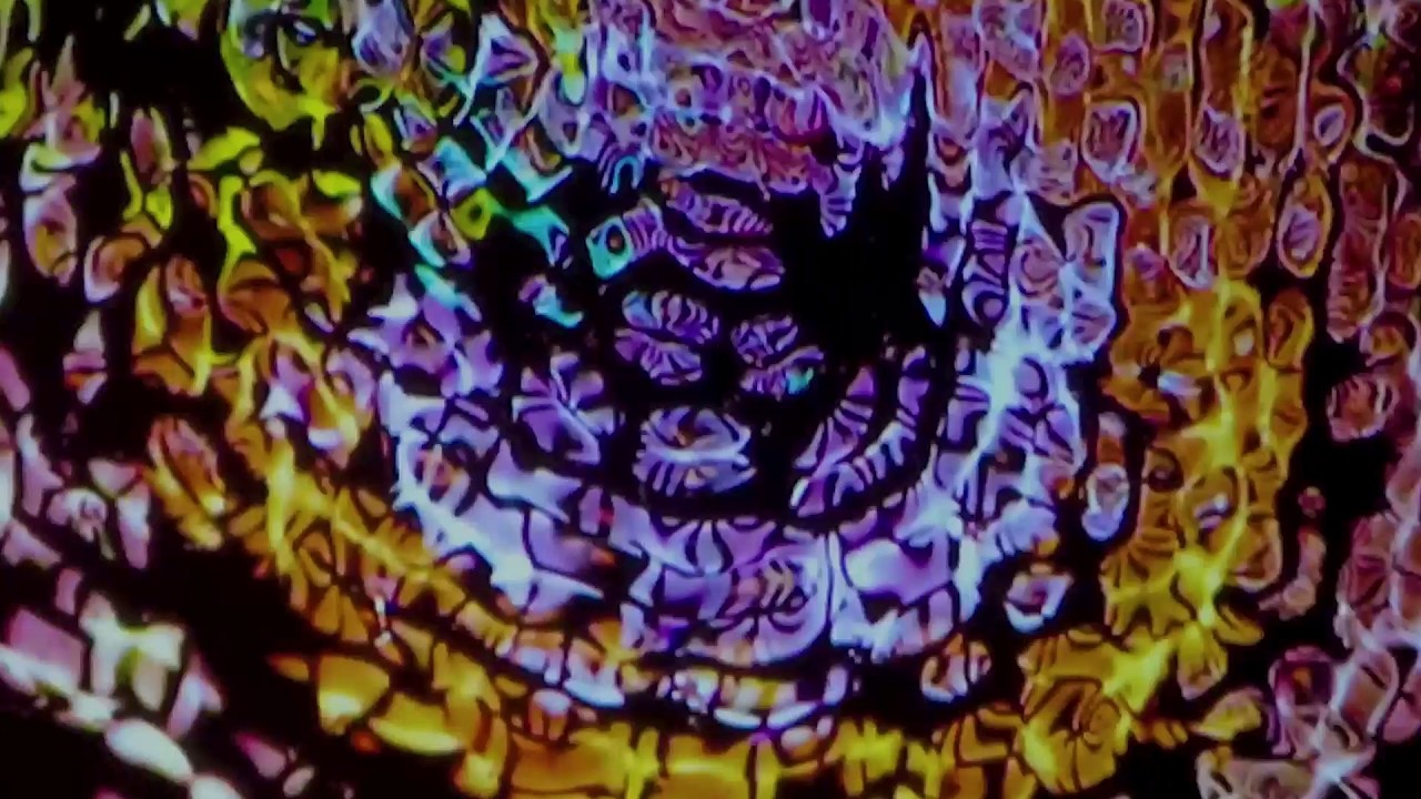 pause.dxa | Live at OMNIVOID ed 005