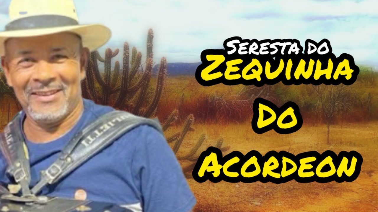 Zequinha do Acordeon - NO MELHOR DA SERESTA ( Ao Vivo )