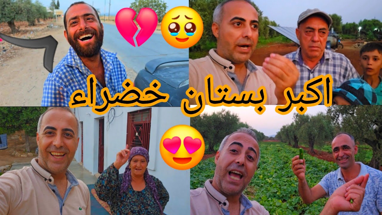 شفنا نانو على طريق جنديرس 💔🥹 رحنا على اكبر بستان خضراء 🍅🫑😍