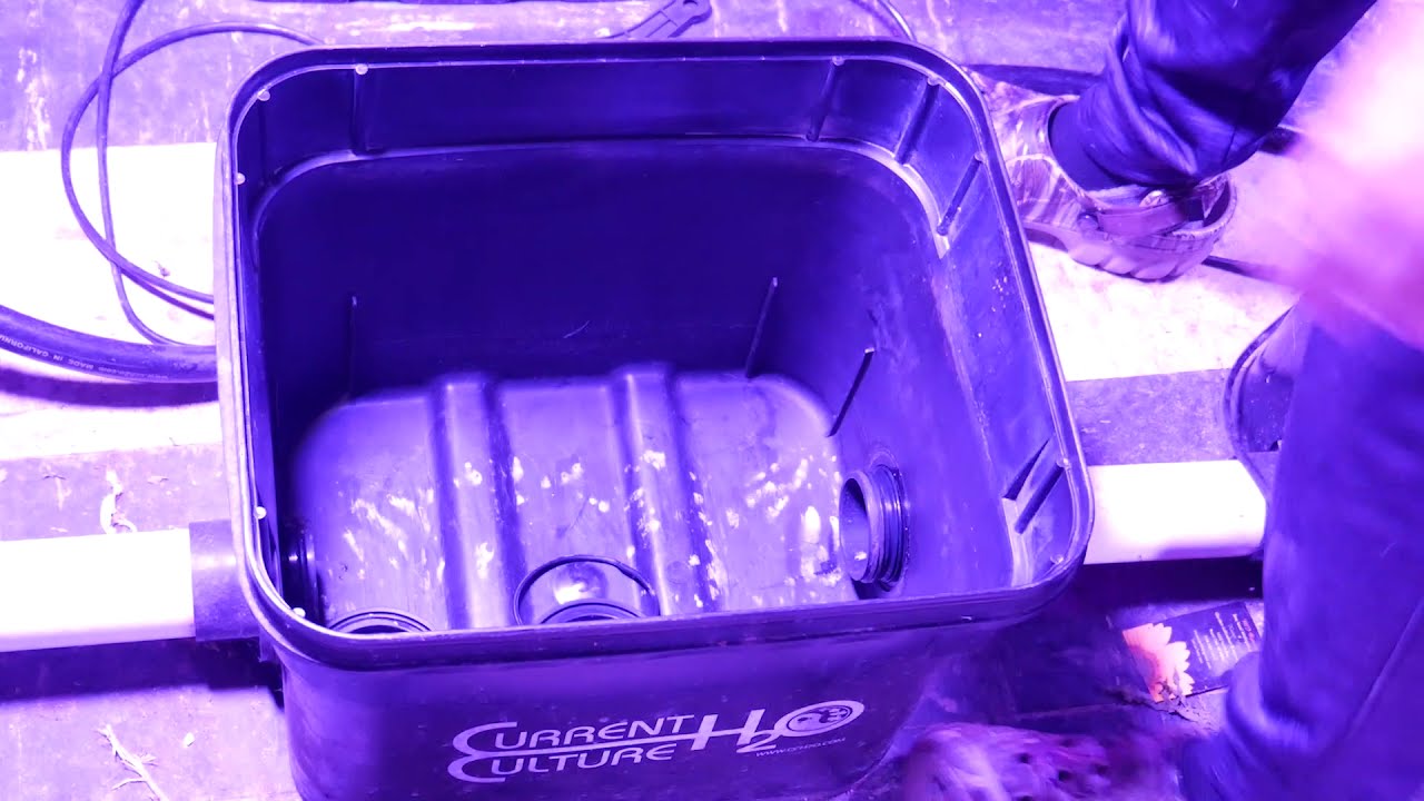 HOW TO TEAR DOWN CURRENT CULTURE H2O Hydroponic Cultivation System | Kevin's vlog #CurrentCultureH20