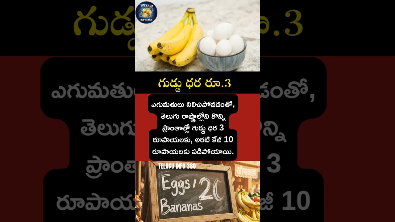 గుడ్డు ధర రూ.3#egg#banana#price#news#warzone#viral#trending#shorts#youtubeshorts#subscribe#comment